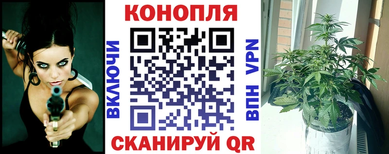 Купить наркотики Павловск ГАШ A PVP Метадон Меф мяу мяу Бошки Шишки Лсд 25 Кокаин